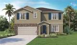 17782 Shade Tree Loop - Photo 1