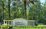 3830 Sawgrass Way - Photo 13