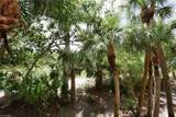 2868 Tiburon Blvd - Photo 28