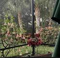 5203 Ciatto Way - Photo 32