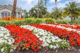640 Luisa Ln - Photo 45