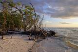 10420 Gulf Shore Dr - Photo 45