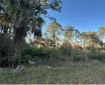 1945 Roderick Ln - Photo 1