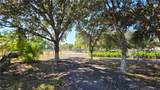 527 Perimeter - Photo 25