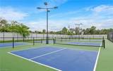 259 Tamarindo Ln - Photo 47