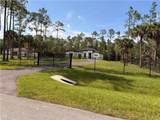 3359 6th Ave - Photo 2