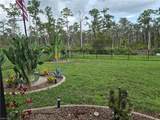 20404 Camino Torcido Loop - Photo 44