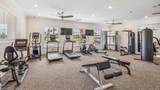 17863 Shade Tree Loop - Photo 18
