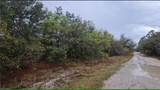 7621 21st Pl - Photo 4