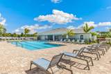 426 Tamarindo Ln - Photo 43