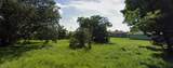 2045 Jaylen Watkins St - Photo 1