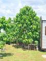 3706 28th St - Photo 32