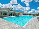 17424 Blue Sapphire Dr - Photo 47