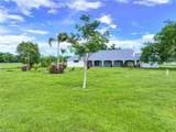 1330 Purple Martin Dr - Photo 30