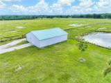 1330 Purple Martin Dr - Photo 41