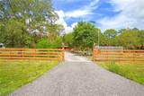 410 Cabbage Palm St - Photo 4