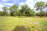 410 Cabbage Palm St - Photo 6
