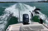 129 Pago Pago Dr - Photo 12