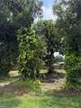 559 Sacramento St - Photo 2