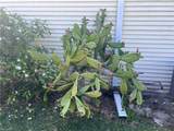 429 Riviera Blvd - Photo 8