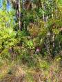 3415 41st Ave - Photo 1