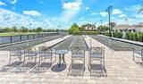 28462 Altessa Way - Photo 39