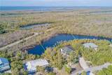 2042 Wild Lime Dr - Photo 6