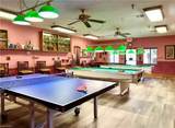 433 Cheetah Dr - Photo 33