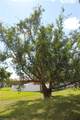 1417 12th Ave - Photo 20