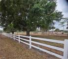 8201 Dosonte Ln - Photo 10