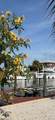 3123 Bracci Dr - Photo 44