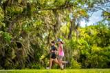 18653 Marlin Kite Ln - Photo 49