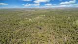 6010 Lee Williams Rd - Photo 10