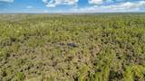 6010 Lee Williams Rd - Photo 13