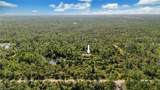 6010 Lee Williams Rd - Photo 4