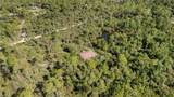 6010 Lee Williams Rd - Photo 5