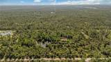 6010 Lee Williams Rd - Photo 6