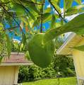 15488 Spring Line Ln - Photo 33