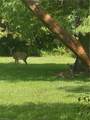 764 Saint Andrews Blvd - Photo 10