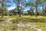 410 Cabbage Palm St - Photo 13