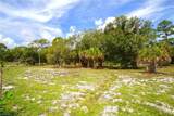 410 Cabbage Palm St - Photo 8