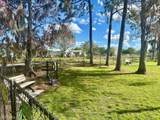 433 Cheetah Dr - Photo 47