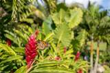 12021 Azalea Way - Photo 46