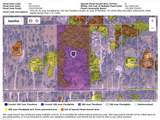 3501 White Blvd - Photo 11