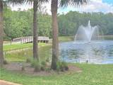 10252 Livorno Dr - Photo 40