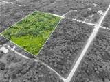 2765 Everglades Blvd - Photo 4