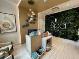 11528 Jacaranda Dr - Photo 37