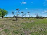 1330 Purple Martin Dr - Photo 45