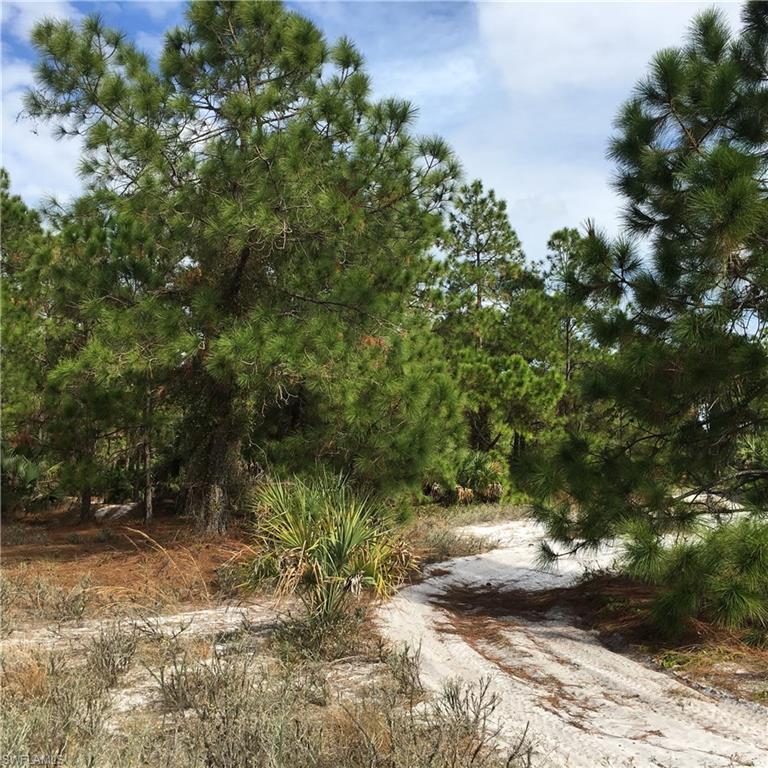 47th Ave - Photo 1