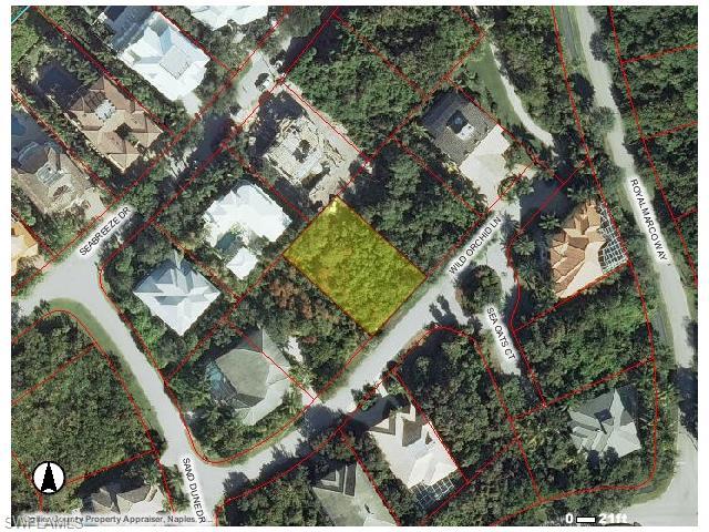 330 Wild Orchid Ln - Photo 1